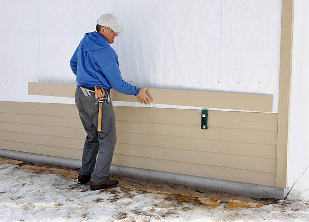 Best Siding Painting and Refinishing  in Bostonia, CA